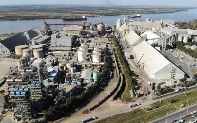 Habría causales de fondo para expropiar a Vicentín