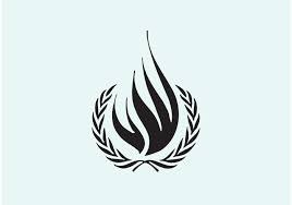 COMO DEBE VOTAR ARGENTINA EN EL CONSEJO DE DERECHOS HUMANOS DE LA ONU