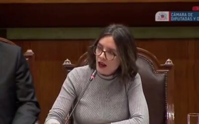 Comentario sobre las desafortunadas palabras de Camila Vallejo
