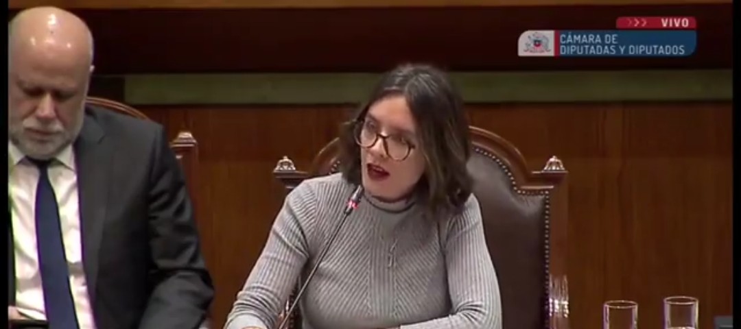 Comentario sobre las desafortunadas palabras de Camila Vallejo