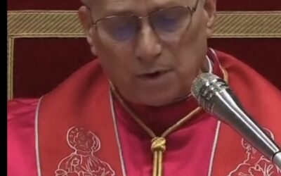 CRÍTICA DEL PAPA LEÓN XIV